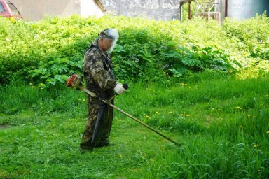 Более 52 гектаров борщевика уничтожено в Петропавловске-Камчатском 0