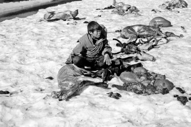Представителей ключевых профессий и хранителей культуры, проживающих в  Корякском округе, чествуют сегодня на Камчатке 5