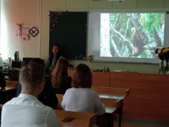 В школах Камчатки преподают новый курс, посвящённой заповедной природе полуострова и её сохранению 0