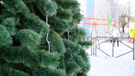 Новогодние ёлки начали устанавливать в Петропавловске-Камчатском 1