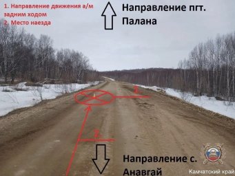 Возбуждено уголовное дело по факту смертельной аварии на автозимнике в Камчатском крае 0