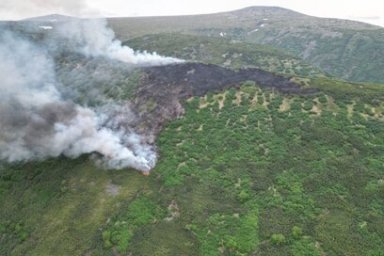 Пять лесных пожаров зарегистрировано на территории Камчатки за прошедшие сутки 4