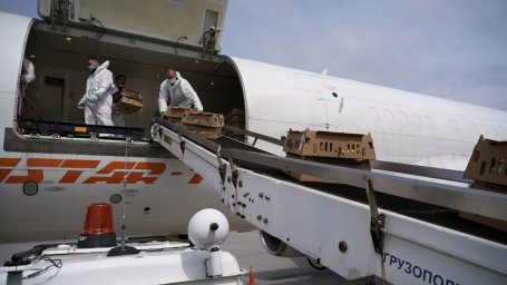 Вторую партию цыплят для фабрики «Пионерское» доставили на Камчатку 2