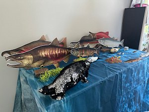 Региональный слёт в Кроноцком заповеднике провели юные натуралисты Камчатки 6