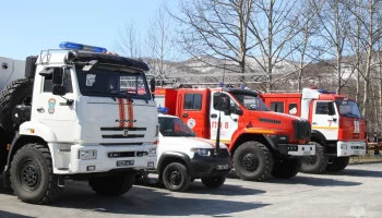 За неделю на Камчатке зарегистрировано почти 80 пожаров