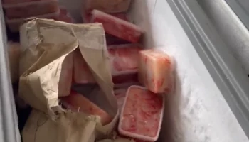 Двое мужчин пойдут под суд на Камчатке за продажу немаркированных крабов Двое мужчин пойдут под суд на Камчатке за продажу немаркированных крабов